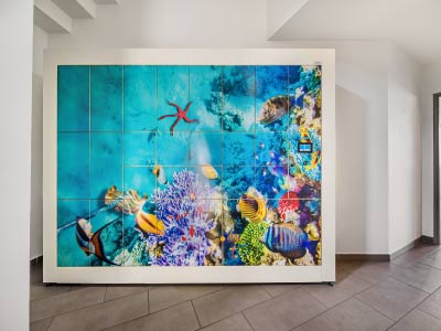 Boite-a-colis-decorative-et-design-spo-france